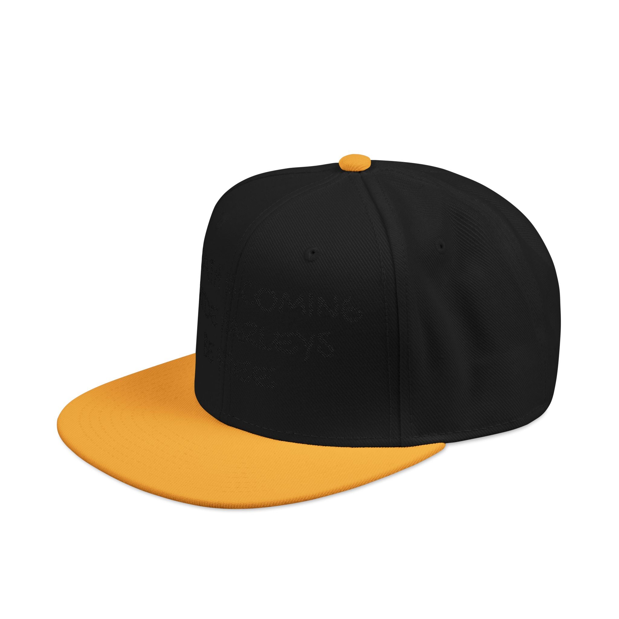 Death is coming ride harleys be free Snapback (Embroidery)